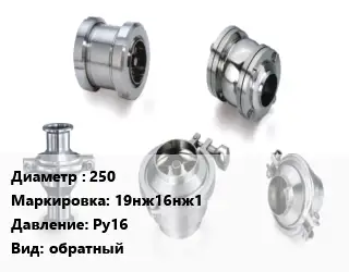 Клапан нержавеющий 250 19нж16нж1 Ру16 обратный